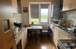 Apartament 2 camere decomandat, 46 mp, Grigorescu