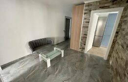 Apartament 2 camere, decomandat, 66 mp, prima inchiriere, zona Napolact