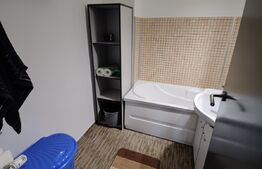 Apartament de 2 camere, decomandat, etaj intermediar, 50mp + 2 balcoane, zona Casa Vikingilor Grigorescu