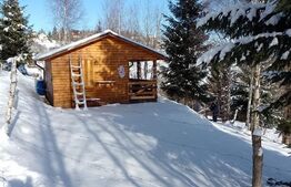 Cabanuta in Statiunea Muntele Baisorii,teren de 675mp in intravilan!