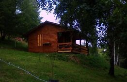 Cabanuta in Statiunea Muntele Baisorii,teren de 675mp in intravilan!