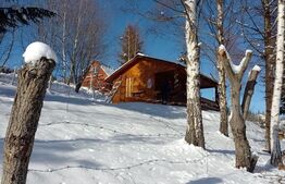 Cabanuta in Statiunea Muntele Baisorii,teren de 675mp in intravilan!