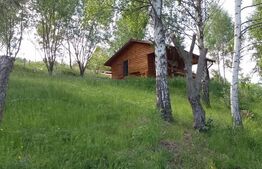 Cabanuta in Statiunea Muntele Baisorii,teren de 675mp in intravilan!