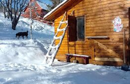 Cabanuta in Statiunea Muntele Baisorii,teren de 675mp in intravilan!