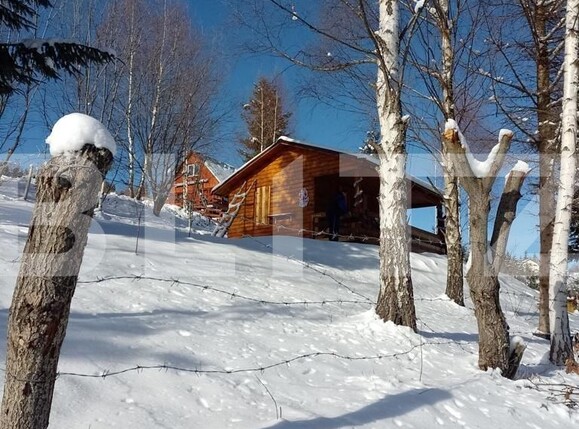 Casa de vânzare 1 camera Muntele Băişorii - 107616CV | BLITZ Cluj-Napoca | Poza1