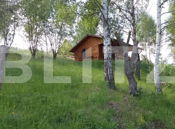 Casa de vânzare 1 camera Muntele Băişorii - 107616CV | BLITZ Cluj-Napoca | Poza3