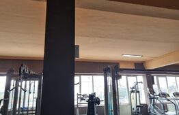 Spatiu comercial, 743 mp, in Marasti