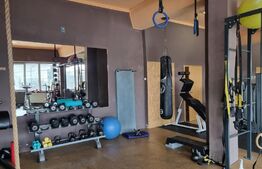 Spatiu comercial, 743 mp, in Marasti