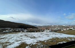 Duplex de lux de vanzare totul nou calitate premium! 120 mp si teren 250 in zona Vivo 