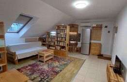 Apartament cu 2 camere, 60 mp, semidecomandat, parcare, zona Calea Turzii