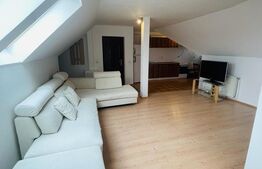 Apartament 2 camere, 52mp, acces facil, zona Muzeul Apei 