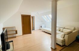 Apartament 2 camere, 52mp, acces facil, zona Muzeul Apei 