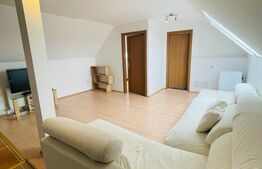 Apartament 2 camere, 52mp, acces facil, zona Muzeul Apei 