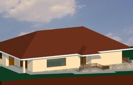 Oportunitate Teren Autorizat casa individuala, 650 mp in Chinteni