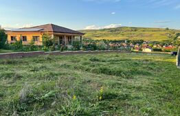 Oportunitate Teren Autorizat casa individuala, 650 mp in Chinteni