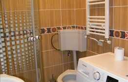 1 camera 28 mp, mobilat modern, Zona Piata Cipariu!