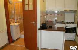 1 camera 28 mp, mobilat modern, Zona Piata Cipariu!