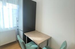 Apartament 2 camere, decomandat, 48 mp, terasa, zona strazii Alverna