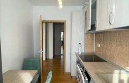 Apartament 2 camere, decomandat, 48 mp, terasa, zona strazii Alverna