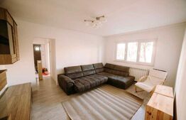 Apartament 3 camere, 60 mp, recent renovat, boxa, zona Big