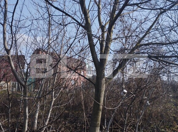 Teren de vânzare Manastur - 107956TV | BLITZ Cluj-Napoca | Poza2