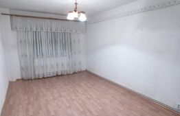 Apartament cu 2 camere, 46mp , zona Craiter 