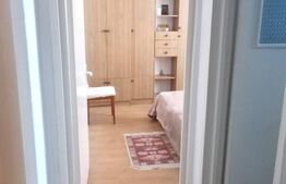 Apartament cu 2 camere, 42mp, pet friendly,  zona Steagu 