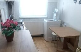 Apartament cu 2 camere, 42mp, pet friendly,  zona Steagu 