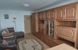 Apartament cu 2 camere, 42mp, pet friendly,  zona Steagu 