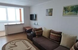 Apartament cu 2 camere, 42mp, pet friendly,  zona Steagu 