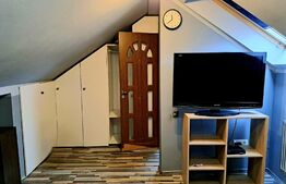 Casa individuala 72mp utili,teren 95mp,situata ultracentral in zona RrM1