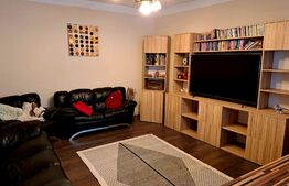 Casa individuala 72mp utili,teren 95mp,situata ultracentral in zona RrM1