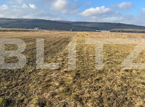 Teren de vânzare Jucu de Mijloc - 108108TV | BLITZ Cluj-Napoca | Poza1