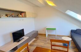  INVESTITIE! Apartament 2 camere, 46 mp , preluare de chiriasi ,  zona Mircea Eliade