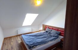  INVESTITIE! Apartament 2 camere, 46 mp , preluare de chiriasi ,  zona Mircea Eliade