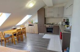 OPORTUNITATE DE INVESTITIE ! 2 apartamente , preluare de chiriasi , zona Mircea Eliade - Zorilor