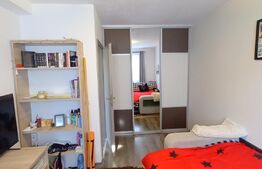 OPORTUNITATE DE INVESTITIE ! 2 apartamente , preluare de chiriasi , zona Mircea Eliade - Zorilor