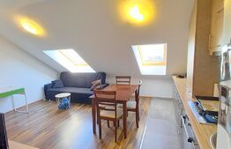 OPORTUNITATE DE INVESTITIE ! 2 apartamente , preluare de chiriasi , zona Mircea Eliade - Zorilor