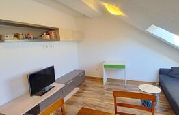 OPORTUNITATE DE INVESTITIE ! 2 apartamente , preluare de chiriasi , zona Mircea Eliade - Zorilor