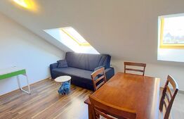 OPORTUNITATE DE INVESTITIE ! 2 apartamente , preluare de chiriasi , zona Mircea Eliade - Zorilor