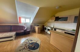 Casa individuala si trainica cu spatiu comercial la parter, 350mp utili, in Brasov cartier Florilor-Craiter