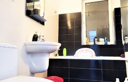 Ideal Investitie!!! Apartament 2 camere, decomandat, mobilat si utilat complet, zona Porii