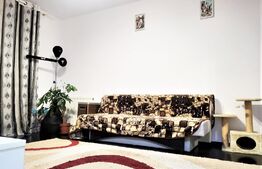 Ideal Investitie!!! Apartament 2 camere, decomandat, mobilat si utilat complet, zona Porii