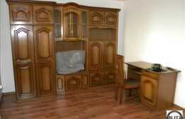 1 camera, 30 mp, demisol, la prima inchiriere, parcare, zona UMF, totul NOU!