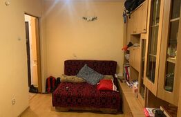 Garsoniera 19 mp, zona Grigore Alexandrescu, Mănăștur