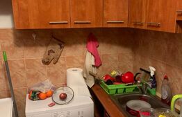 Garsoniera 19 mp, zona Grigore Alexandrescu, Mănăștur