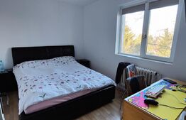 Apartament de 3 camere, 56 mp + balcon, etaj intermediar , zona Aleea Peana