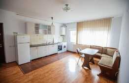 2 camere, 45 mp, imobil nou, mobilat modern, zona strazii Bucium