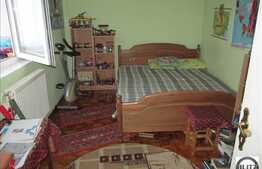 Apartament 2 camere, zona strazii Horea, etaj intermediar, 46 mp utili!