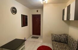 Garsoniera de 20 mp, mobilata si utilata, zona Pod Calvaria